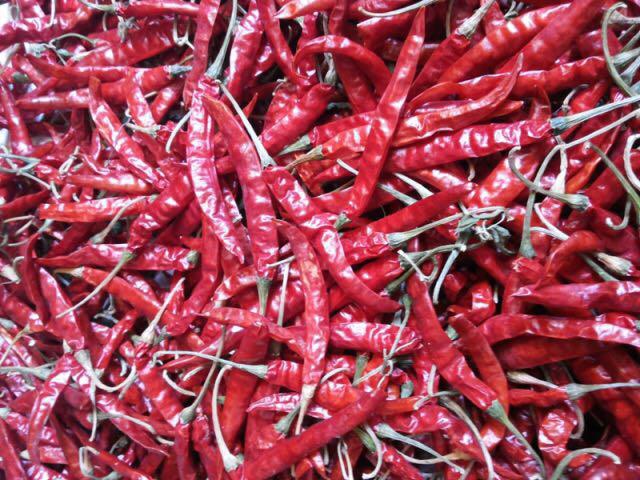 spices exporters in chennai